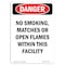 Signmission OSHA Danger, Portrait No Smoking W/in This Facility, 14in X 10in Decal, 10" W, 14" L, Portrait OS-DS-D-1014-V-1500 - alternate 1